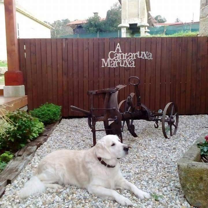 A Cantaruxa Maruxa Turismo Rural Mondariz Eksteriør billede